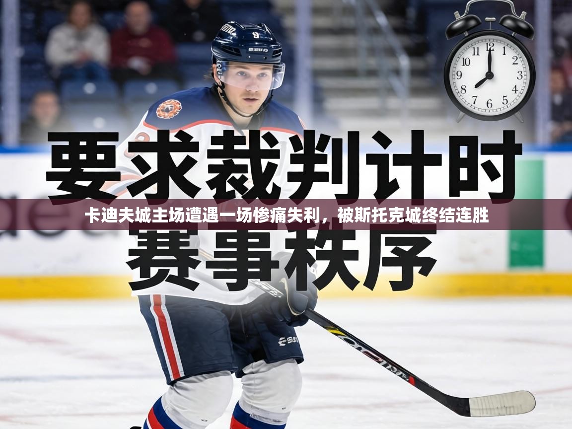 卡迪夫城主场遭遇一场惨痛失利，被斯托克城终结连胜  第2张